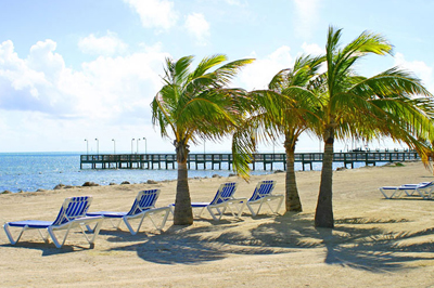 Oceanside Villas at Guy Harvey Outpost Resort in Islamorada, FL