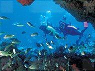 Lime Tree Bay Resort Under Sea
